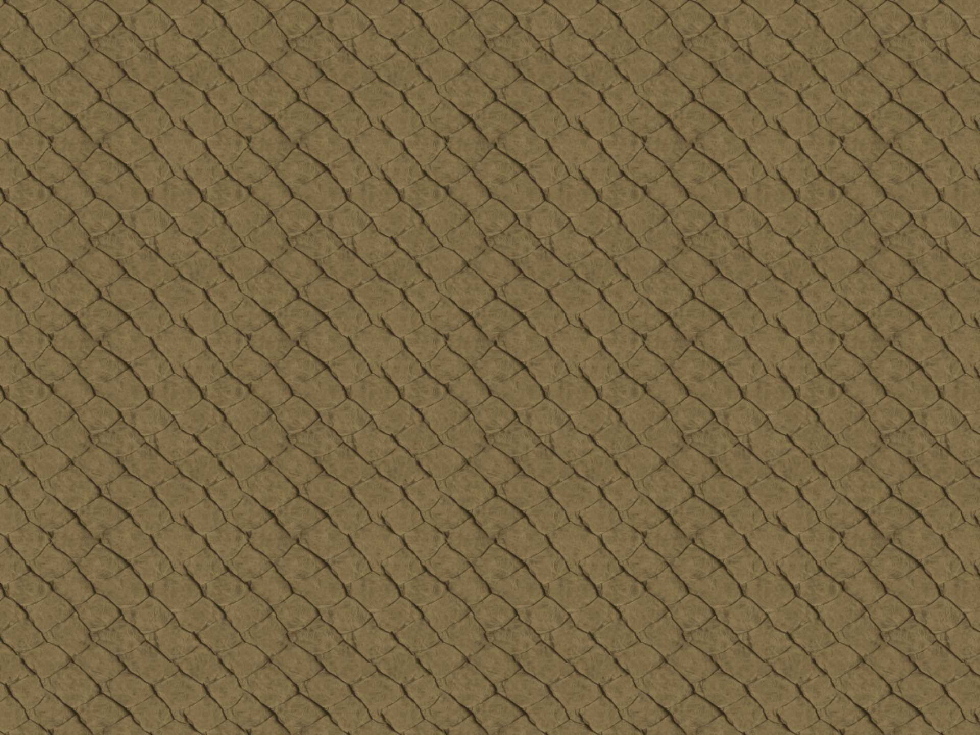 Africa Fish