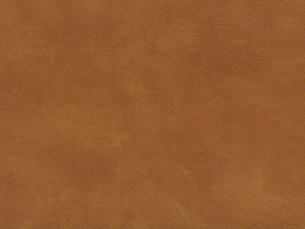Alamo